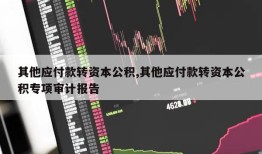 其他应付款转资本公积,其他应付款转资本公积专项审计报告