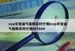 xop华宝油气指数实时行情|xop华宝油气指数实时行情007844