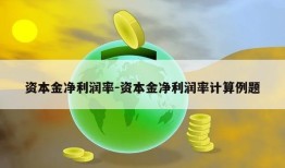 资本金净利润率-资本金净利润率计算例题