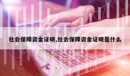 社会保障资金证明,社会保障资金证明是什么