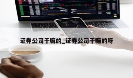 证券公司干嘛的_证券公司干嘛的呀