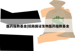 医药指数基金|招商国证生物医药指数基金