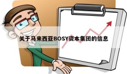 关于马来西亚BOSY资本集团的信息