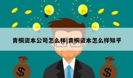 青桐资本公司怎么样|青桐资本怎么样知乎