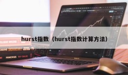 hurst指数（hurst指数计算方法）