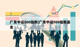 广发中证500指数|广发中证500指数基金