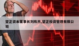 望正资本董事长刘陈杰,望正投资管理有限公司