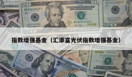 指数增强基金（汇添富光伏指数增强基金）