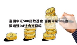 富国中证500指数基金-富国中证500指数增强lof适合定投吗