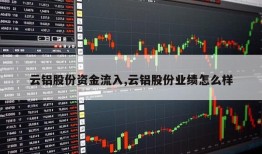 云铝股份资金流入,云铝股份业绩怎么样