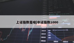 上证指数是啥|中证指数1000