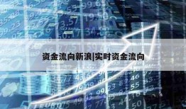 资金流向新浪|实时资金流向