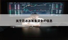 关于范冰冰筹集资金的信息