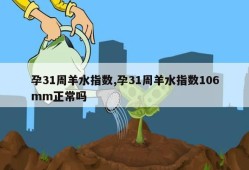 孕31周羊水指数,孕31周羊水指数106mm正常吗