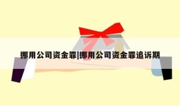 挪用公司资金罪|挪用公司资金罪追诉期