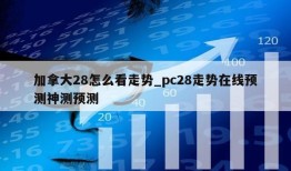 加拿大28怎么看走势_pc28走势在线预测神测预测