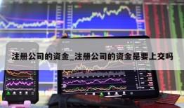 注册公司的资金_注册公司的资金是要上交吗