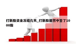 打新股资金冻结几天_打新股居然中签了1000股