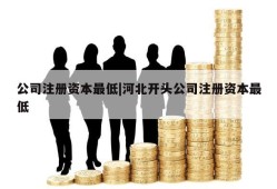 公司注册资本最低|河北开头公司注册资本最低