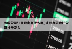 有限公司注册资金有什么用_注册有限责任公司注册资金