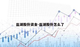 盐湖股份资金-盐湖股份怎么了