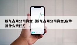 股东占用公司资金（股东占用公司资金,应承担什么责任?）