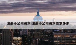 注册小公司资本|注册小公司资本要求多少