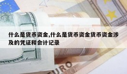 什么是货币资金,什么是货币资金货币资金涉及的凭证和会计记录