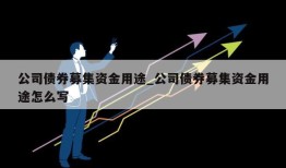 公司债券募集资金用途_公司债券募集资金用途怎么写