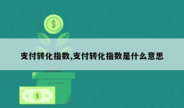 支付转化指数,支付转化指数是什么意思