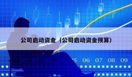 公司启动资金（公司启动资金预算）