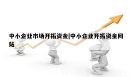 中小企业市场开拓资金|中小企业开拓资金网站