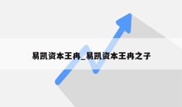 易凯资本王冉_易凯资本王冉之子