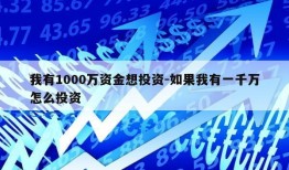 我有1000万资金想投资-如果我有一千万怎么投资