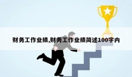 财务工作业绩,财务工作业绩简述100字内