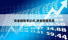 资金回报率公式,资金回报率高