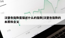 汉堡包指数是描述什么的指数|汉堡包指数的本质和含义