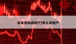 资金投向房地产|投入房地产