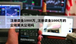 注册资金1000万_注册资金1000万的公司算大公司吗