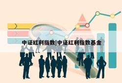 中证红利指数|中证红利指数基金