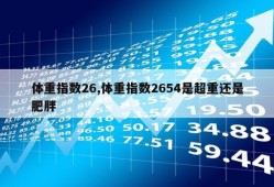 体重指数26,体重指数2654是超重还是肥胖