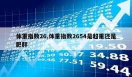 体重指数26,体重指数2654是超重还是肥胖