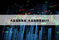 大盘指数基金_大盘指数基金ETF