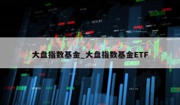 大盘指数基金_大盘指数基金ETF