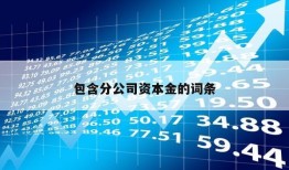 包含分公司资本金的词条