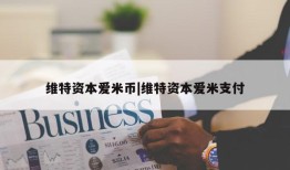 维特资本爱米币|维特资本爱米支付