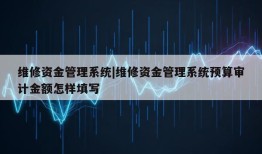 维修资金管理系统|维修资金管理系统预算审计金额怎样填写