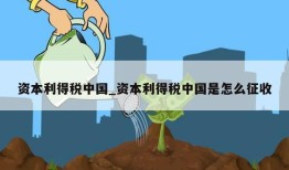 资本利得税中国_资本利得税中国是怎么征收