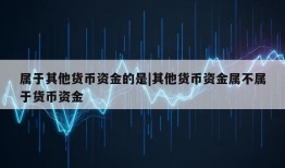 属于其他货币资金的是|其他货币资金属不属于货币资金