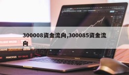 300008资金流向,300085资金流向